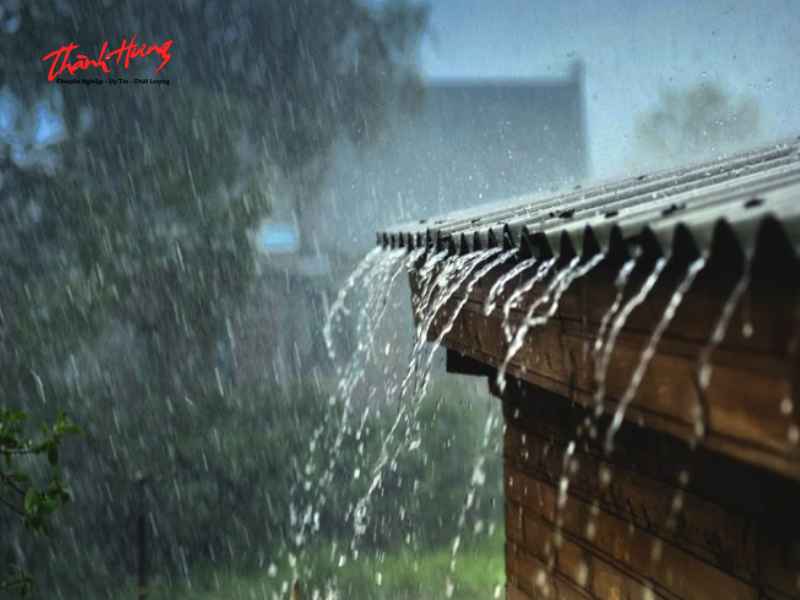 Vì sao chuyển nhà mùa mưa là nỗi lo của nhiều gia đình?